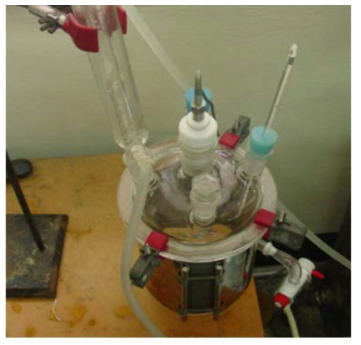 Experimental apparatus for decomposition of epoxy resin in nitric acid aqueous solution