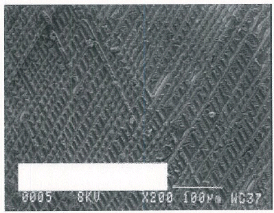 Electron micrograph of a composite showing a good fiber/matrix interface