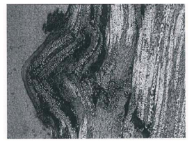 Micrograph of microbuckle at the surface of a crushed (0°/90°)tube