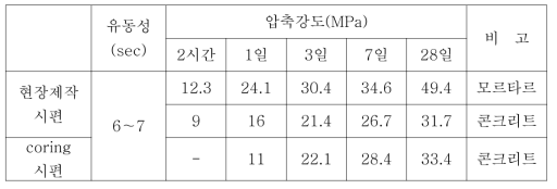 시험시공 시험 결과(대전 폐선구간)