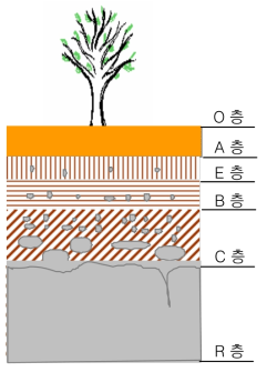 흙의 풍화특성