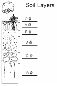 흙의 지층구성
