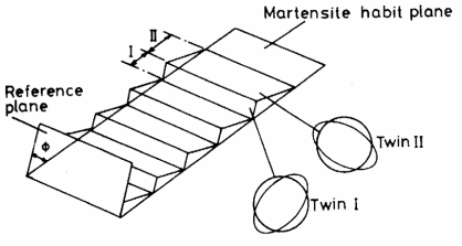 Martensite habit plane and twins