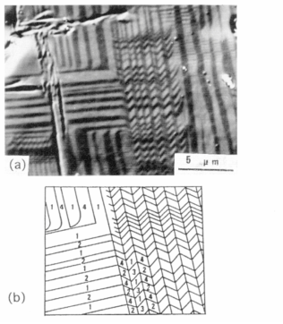 Self-accommodation morphology of martensite