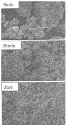 속경성 시멘트 수화물의 전자현미경 사진