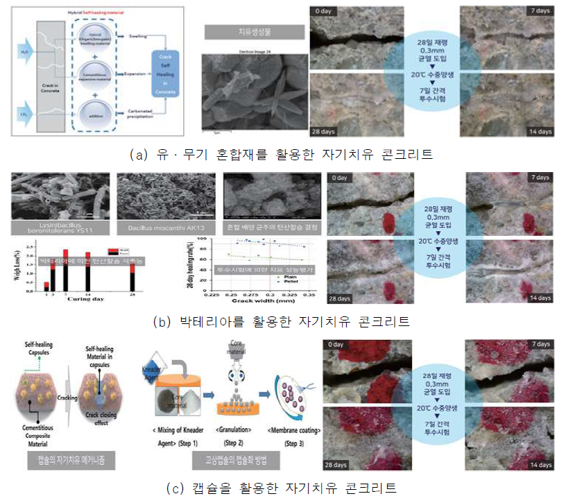 자기치유 콘크리트 개발현황