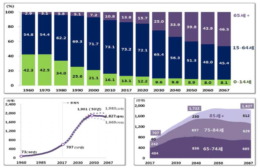국내 연령대별 인구 구성비 변화 추이 (출처: 통계청(2019), 장래 인구 특별 추계(2017년 인구주택총조사 기준))