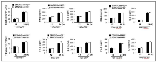 Gadd45β 단백질에 의한 항바이러스 효능 검증