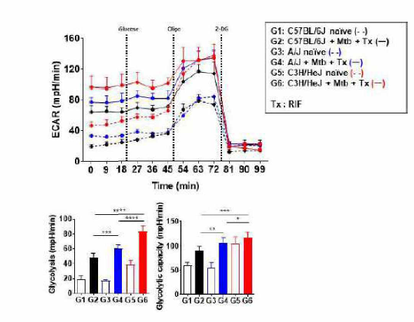 RIF 처리 하였을 때 대식세포에서 extracellular flux analysis