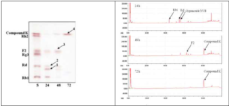 반응 시간에 따른 전환 확인 (TLC, HPLC)