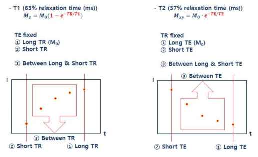 Calculating R1 and R2 value for performance compared with commercial MRI reagents - #3