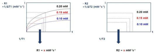 Calculating R1 and R2 value for performance compared with commercial MRI reagents - #4