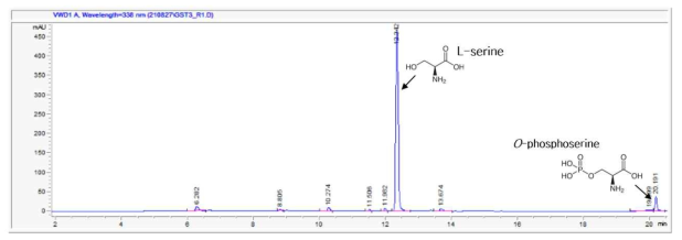 Serine을 기질로 사용하는 GSK-3의 효소반응에 대한 HPLC 크로마토그램