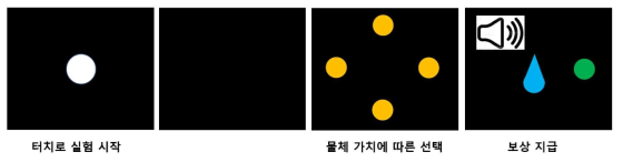 인지 행동 평가 실험 개념도 Flexible value task의 경우 보상을 얻기 위해 단기기억을 이용해 가치(주기적으로 뒤바뀜) 있는 물체 선택. Stable value task의 경우 이미 학습된 가치에 대한 장기기억을 바탕으로 보상을 얻기 위해 가치(바뀌지 않음) 있는 물체 선택