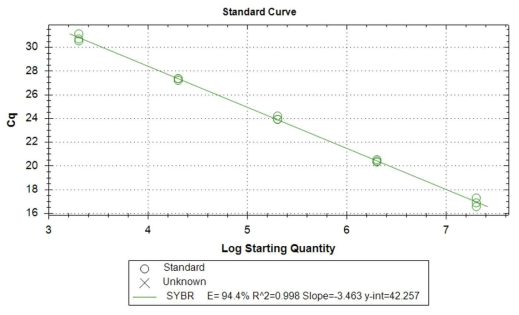 AAV 벡터 생산 타이터 확인을 위한 표준곡선