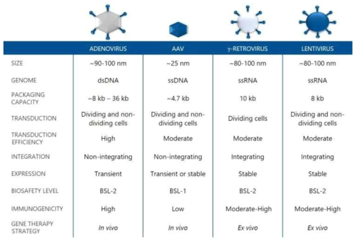 유전자치료제용 벡터의 종류