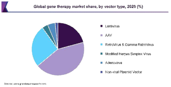 유전자치료제 개발 현황 및 유전자치료제용 벡터의 비율 https://www.grandviewresearch.com/industry-analysis/gene-therapy-market