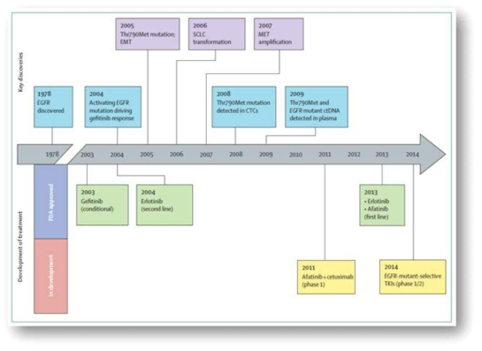 폐암의 EGFR mutation과 관련된 생물학적 이해 및 표적 항암제 개발 현황 (Tan et al., Lancet Oncol, 2015)