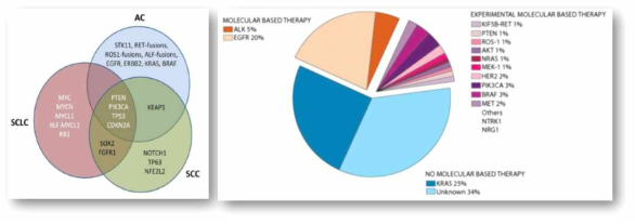 폐암 histology 별 유전적 변이 및 선암에서의 여러 유전적 돌연변이 (Wood et al, Cancer Treat Rev, 2015; Moreira and Eng, Chest, 2014)