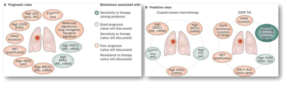 폐암의 바이오마커 (Ferte et al, Nat Rev Clin Oncol, 2010)