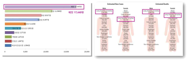 암종별 발생률 또는 사망률 (국내: 국가암정보센터; 전세계: American Cancer Society, Global Cancer Facts & Figures, 3rd edition, 2015)