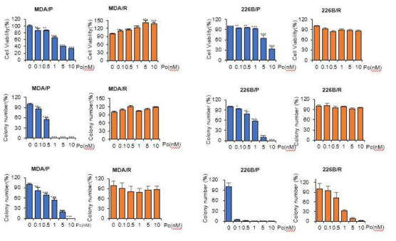 Paclitaxel 내성세포 구축. Cell viability assay, anchorage-dependent colony formation assay, anchorage-independent colony formation assay를 이용한 paclitaxel에 대한 내성 획득 확인