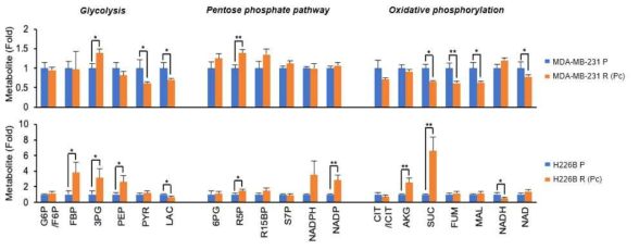 Paclitaxel 내성세포에서 대사체 변화 프로파일