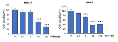 G6PD 억제제인 6AN에 의한 paclitaxel 내성세포의 viablity 감소