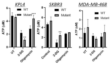 mutant (Mut) IGF1R 과발현 세포에서 2-DG 또는 oligomycin에 의한 ATP 생성 억제작용에 대한 영향