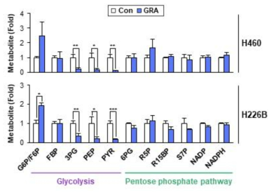 GRA에 의한 당 대사 억제