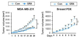 GRA의 유방암에서의 항암 활성