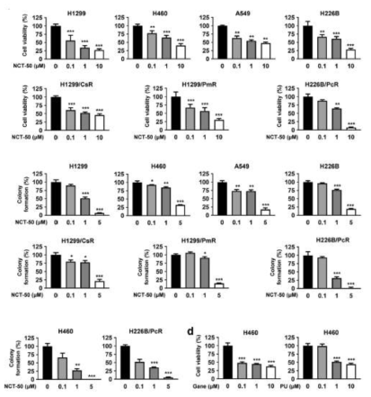 NCT-50의 폐암세포주의 viablity 및 colony 형성 억제 작용