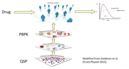 약물개발 및 치료요법 최적화에 사용되는 QSP 및 PBPK 모델의 도식화