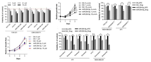 miR-204-5p 발현에 의한 PI3K inhibitor 효과 검증