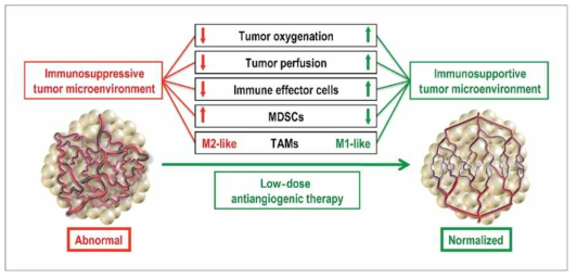 treatment reprograms the tumor microenvironment from immunosuppressive to immunosupportive (Yuhui H et al. Cancer Res 2013)