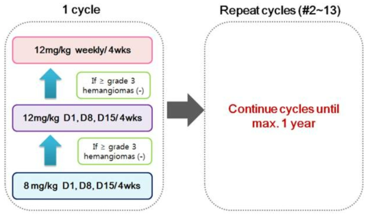 Clinical study scheme (Phase 2a)