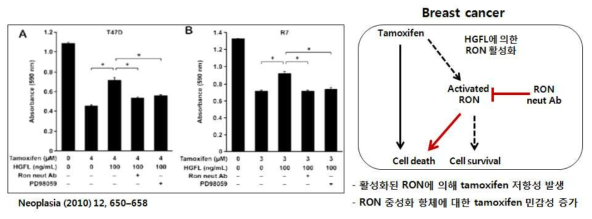 Breast cancer에서 RON에 의한 tamoxifen 저항성 및 RON 항체의 효능