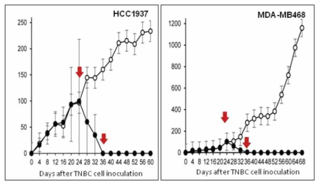 RON 저해를 통한 삼중음성 유방암에서 종양억제 효능 확인 (Mol Cancer Ther, 2018, Oct 1)