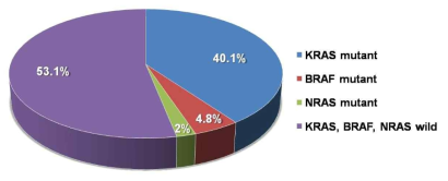 대장암 환자에서 KRAS, NRAS, BRAF 돌연변이 비율 (국립암센터 출처)
