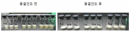 고농도 제조 조건 별 동결건조 전, 후 외관 성상 비교
