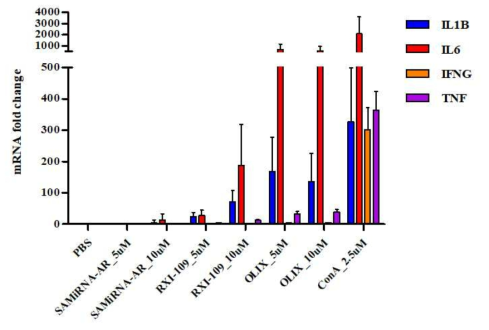 SAMiRNA 투여에 따른 cytokine induction 측정 결과