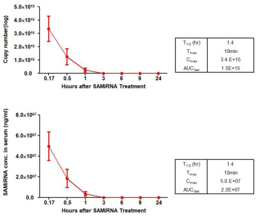 정상 쥐 혈청에서의 Human SAMiRNA-AREG에 대한 HIT-qRT-PCR analysis (상단 결과는 qPCR 수행 후 Copy number를 확인한 결과이며, 하단 결과는 이를 투여 농도로 변환한 결과임)