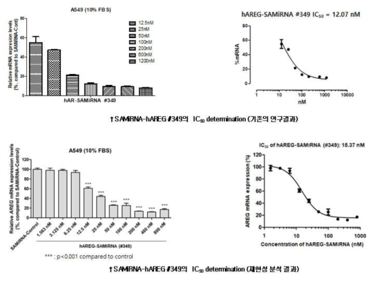 폐암 세포주 A549 대상 다양한 SAMiRNA 농도로 처리 후 mRNA 발현저해 효능 재현성 확인