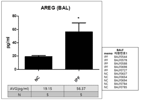 ELISA를 이용하여 IPF 환자들을 대상으로 기관지폐포세척액(BAL fluid)에서의 AREG level 결