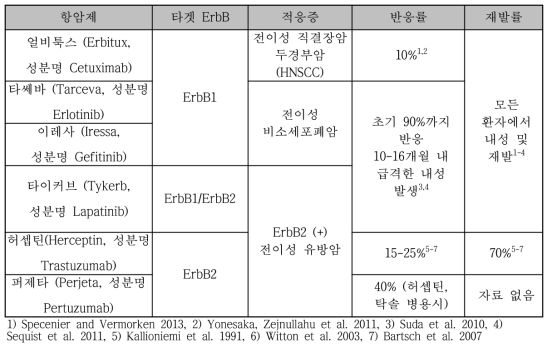 ErbB 단백질 군을 타겟으로 승인된 항암제와 그 한계