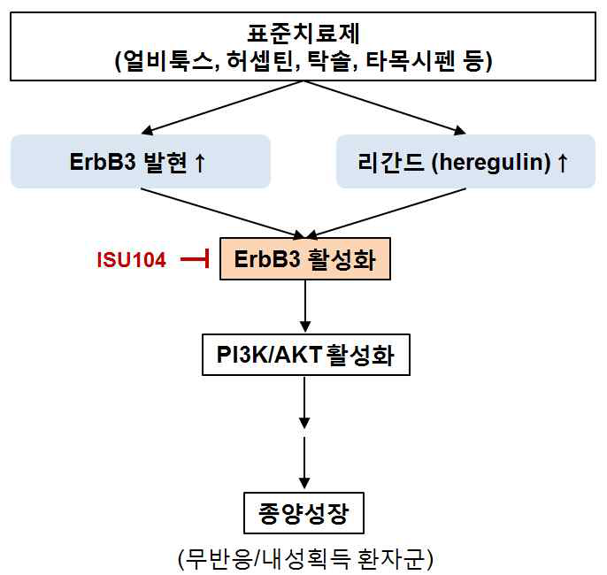 기존 항암제의 무반응 혹은 내성 획득 기전