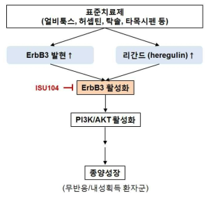 기존 항암제의 내성 획득 기전