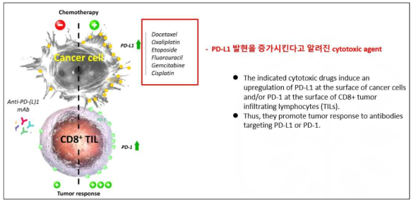 화학요법제와 PD-L1 발현과의 관계 (NAR Cancer, 2020)