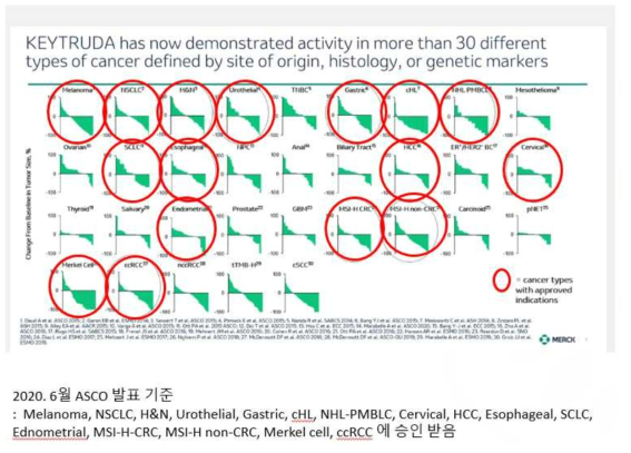 Keytruda 적응증 보고 및 병용 전략