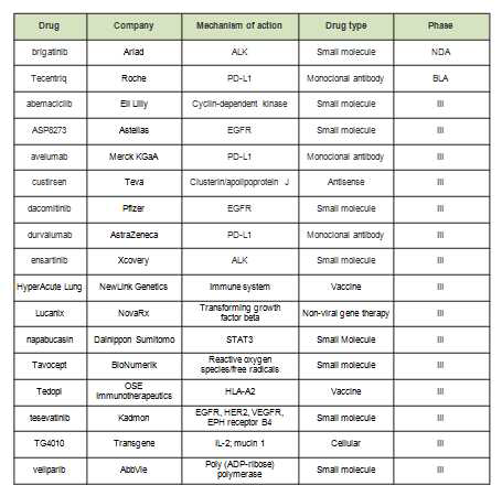 임상시험 개발중인 NSCLC 표적 치료제 파이프라인